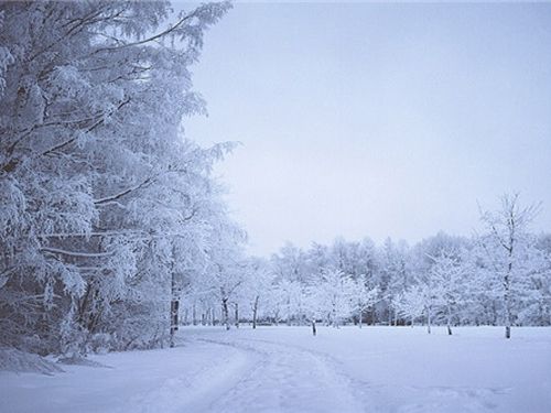 周公解梦:梦见下大雪是什么意思?