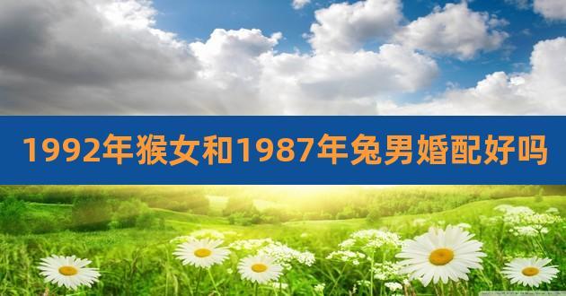 1992年猴女和1987年兔男婚配好吗,87年属兔和92年属猴配吗