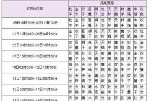 11月初八是什么星座的 阴历11月初八是什么星座的