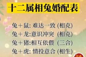 兔和马属相合不合_兔和马属相合不合家人_兔和马属相合不合生意 - 抖