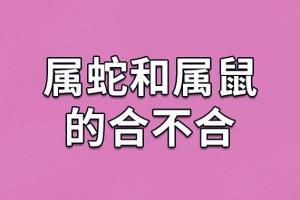 生肖老鼠-输入生日，可以查一生运势命数，准到离谱