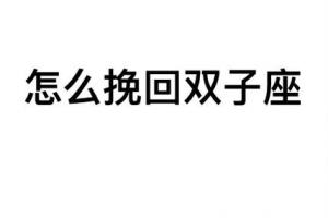 挽回双子座要做的事(怎么挽回双子座男生)