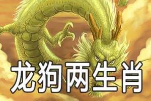 属龙和属狗财运和吗(属龙和属狗的相冲吗)