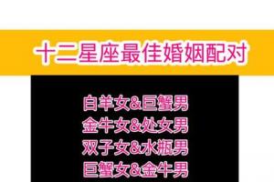 处女座和处女座配对 12星座最佳配对表