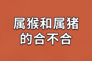 属猪与属猴婚烟怎样 属猪和属猴的婚姻怎么样