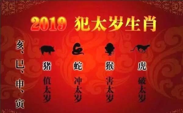 猪年,按地支而论,巳亥相冲,即巳蛇和亥猪相冲,所以属蛇人今年冲犯太岁