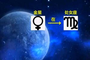 金星星座在秤座的人如何和金星在十二星座的人相处白羊(金星在处女座的天秤女)