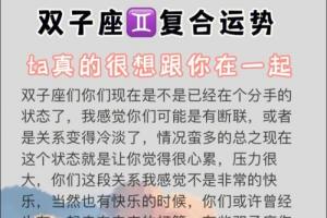 当双子座不再联系你(双子座不联系你就是不喜欢吗)