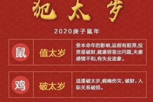 鼠年犯太岁的四个属相 鼠年犯冲的五个属相