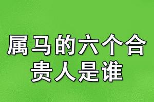 2024年属马的财运和运气神巴巴星座(属马的今年财运如何)