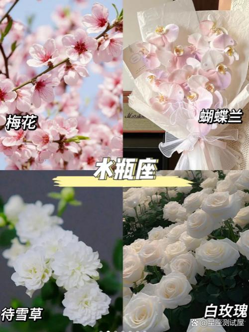 水瓶座 (1.21日至2月20日) 星座花:待雪草,梅花,蝴蝶