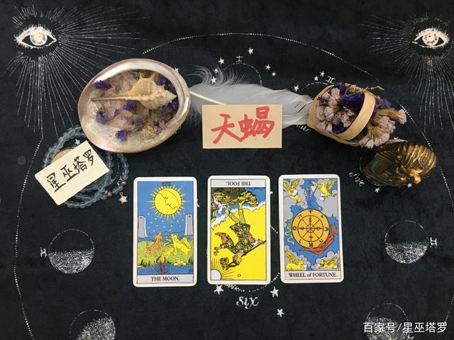 星巫塔罗:7月天蝎座运势,新人一拍即合,干柴烈火收获甜蜜爱情