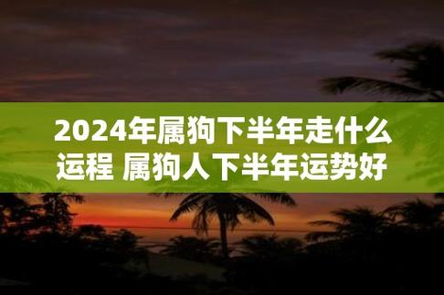 2024年属狗下半年走什么运程 属狗人下半年运势好不好