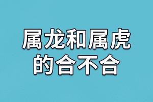 属龙男和属虎女婚姻相配吗(属龙男与属虎女配吗)