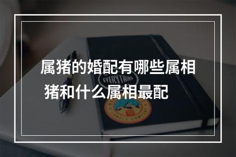 属猪的婚配有哪些属相 猪和什么属相最配