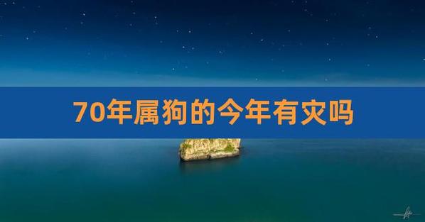 70年属狗的今年有灾吗,70年属狗51岁有一灾