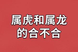 属龙的和属什么的配 龙最佳的三个属相