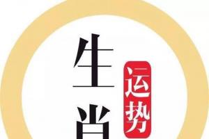 十二每日生肖运势查询(郑博士今日生肖运势提前报)