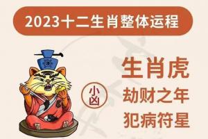 17年犯太岁的属相(2023年犯太岁的生肖有哪些)