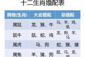 生肖星座配对查询表(星座与属相婚配查询)