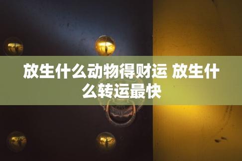 放生什么动物得财运 放生什么转运最快