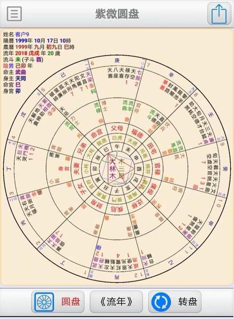 紫微斗数命主禄存身主同(紫微斗数子女宫详解)-开运网