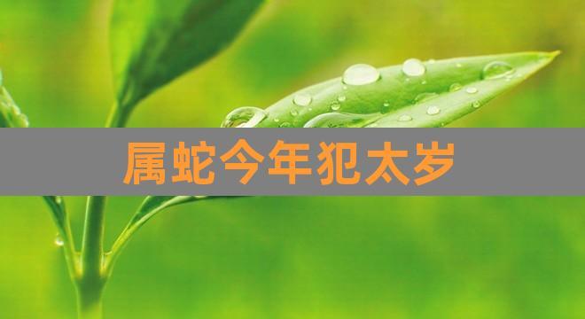 属蛇今年犯太岁(牛年犯太岁的四个属相)