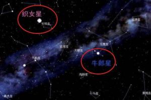 公务员考试牛郎星是属于什么星座的(牛郎星是哪个星座的)