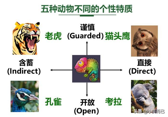 测试结束,你是不是清楚的知道自己的动物性格了呢?