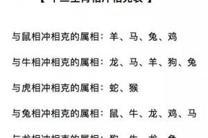 属兔的和属鸡的配吗 兔和鸡是相冲还是相克