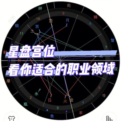 星盘宫位看你适合的职业领域星盘解读事业