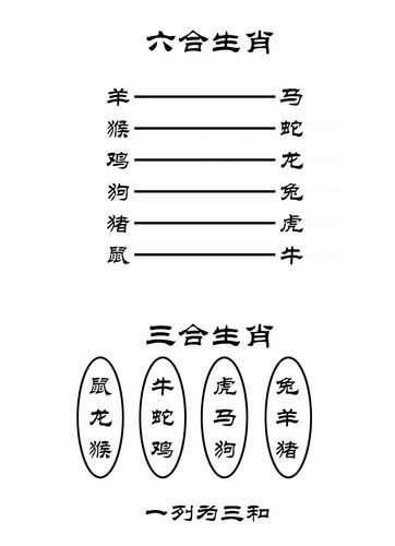 最全12生肖三合六合相冲相害详细讲解上