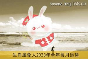 2023年属牛今日运势分析2023年属兔人的全年运势(十二生肖属兔今日运势)