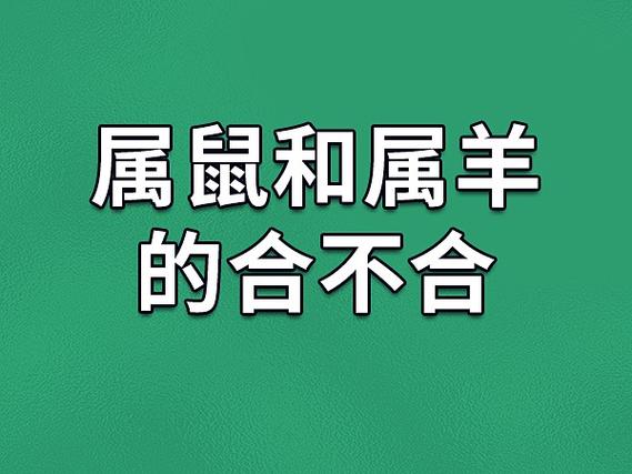 属鼠和属羊的合不合-属鼠和属羊相配吗_吉星堂