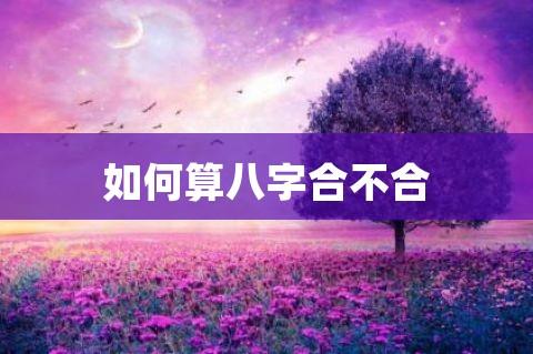 如何算八字合不合