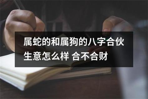 属蛇的和属狗的八字合伙生意怎么样合不合财