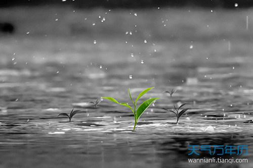 梦见下雨是什么意思梦见下雨有什么预兆