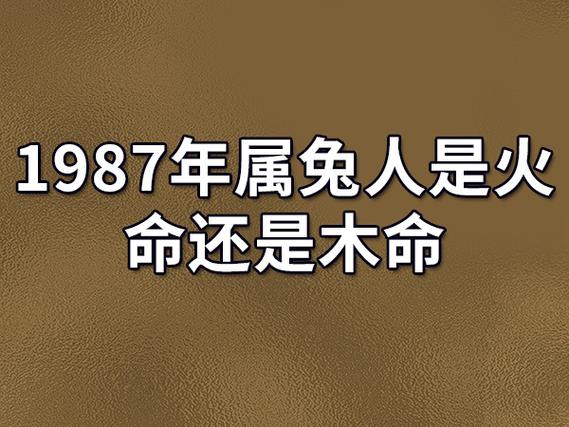 1987年属兔人是火命还是木命