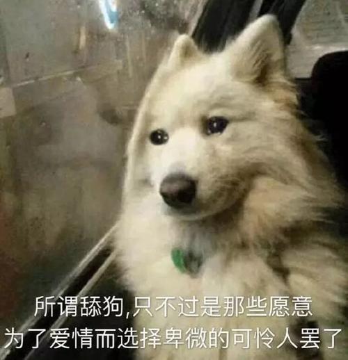 水瓶座狗都不谈是什么梗