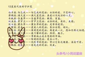 十二星座代表的仙女花是什么