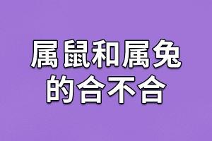 属鼠的跟属兔的配吗 属鼠的和属兔的婚配吗