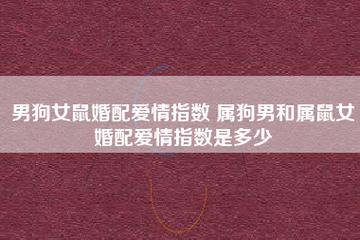 男狗女鼠婚配爱情指数 属狗男和属鼠女婚配爱情指数是多少