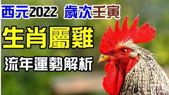 2023属鸡今年财运 属鸡的2023年财运