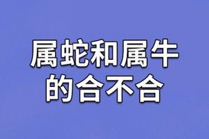 属蛇男与属牛女配吗 属蛇男跟属牛女相配吗