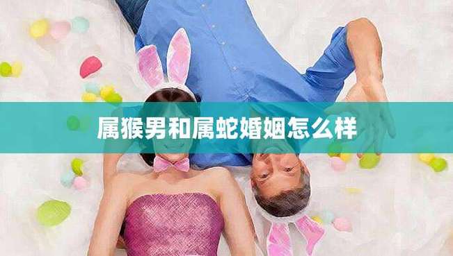 属猴男和属蛇婚姻怎么样