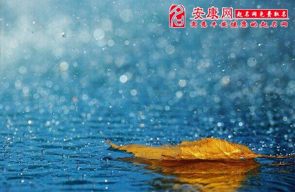 做梦梦见下雨了