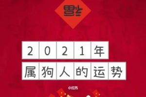 今年龙年属狗的人犯太岁高考如何旺考运運勢(属狗人今年财运如何)