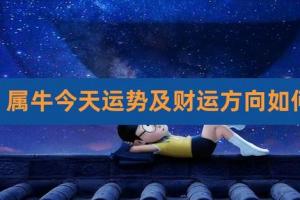 属牛人财运星今日是几