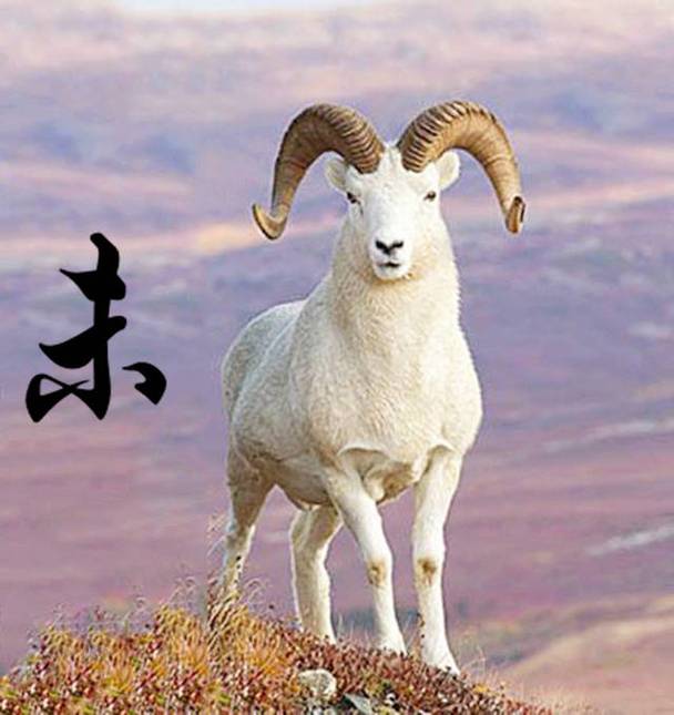 属羊和什么生肖不和 属羊和什么生肖不和谐