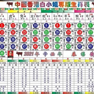 十二生肖卡六合彩对照表排期表香港白小姐12牛年2023年自行车智能码表